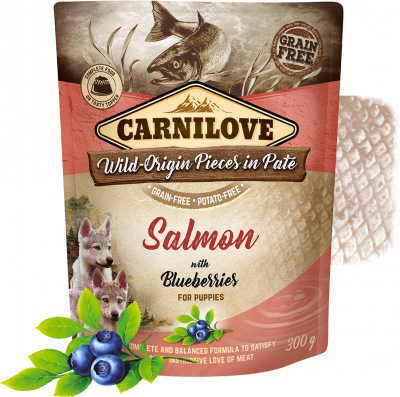 Carnilove Salmon with Blueberries for Puppies Wet Food, Pouch 300g