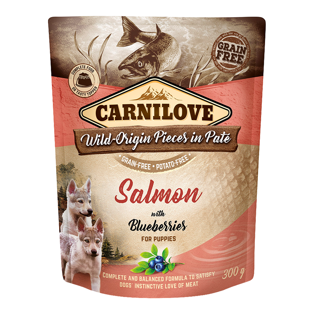 Carnilove Salmon with Blueberries for Puppies Wet Food, Pouch 300g