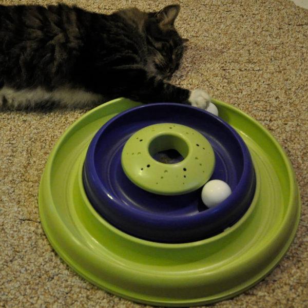 Catnip Hurricane™ Cat Toy