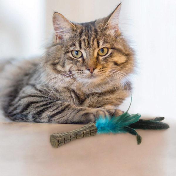 Catnip “Johnny Sticks” with Natural Feather (Green)
