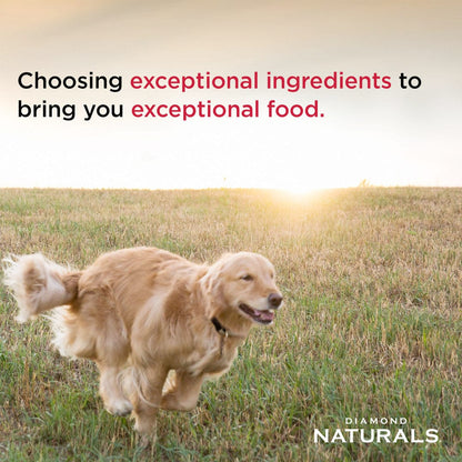 Diamond Naturals Senior Dog Chicken, Egg & Oatmeal Formula