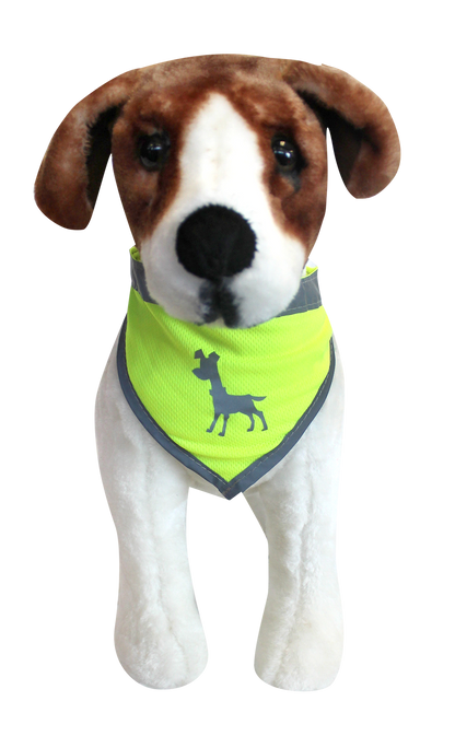 Alcott Visibility Dog Bandana