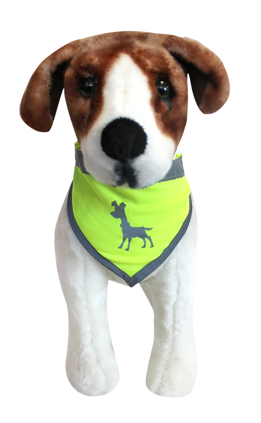 Alcott Visibility Dog Bandana