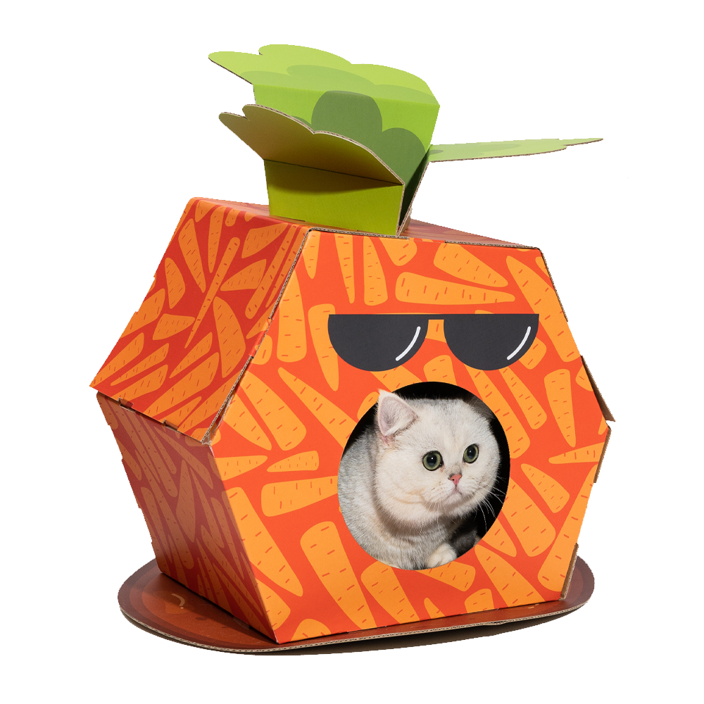 Fofos Carrot Cardboard Cat House with Scratching Pad