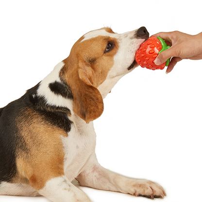 Fofos Tough Fruit Silence Strawberry Dog Toy