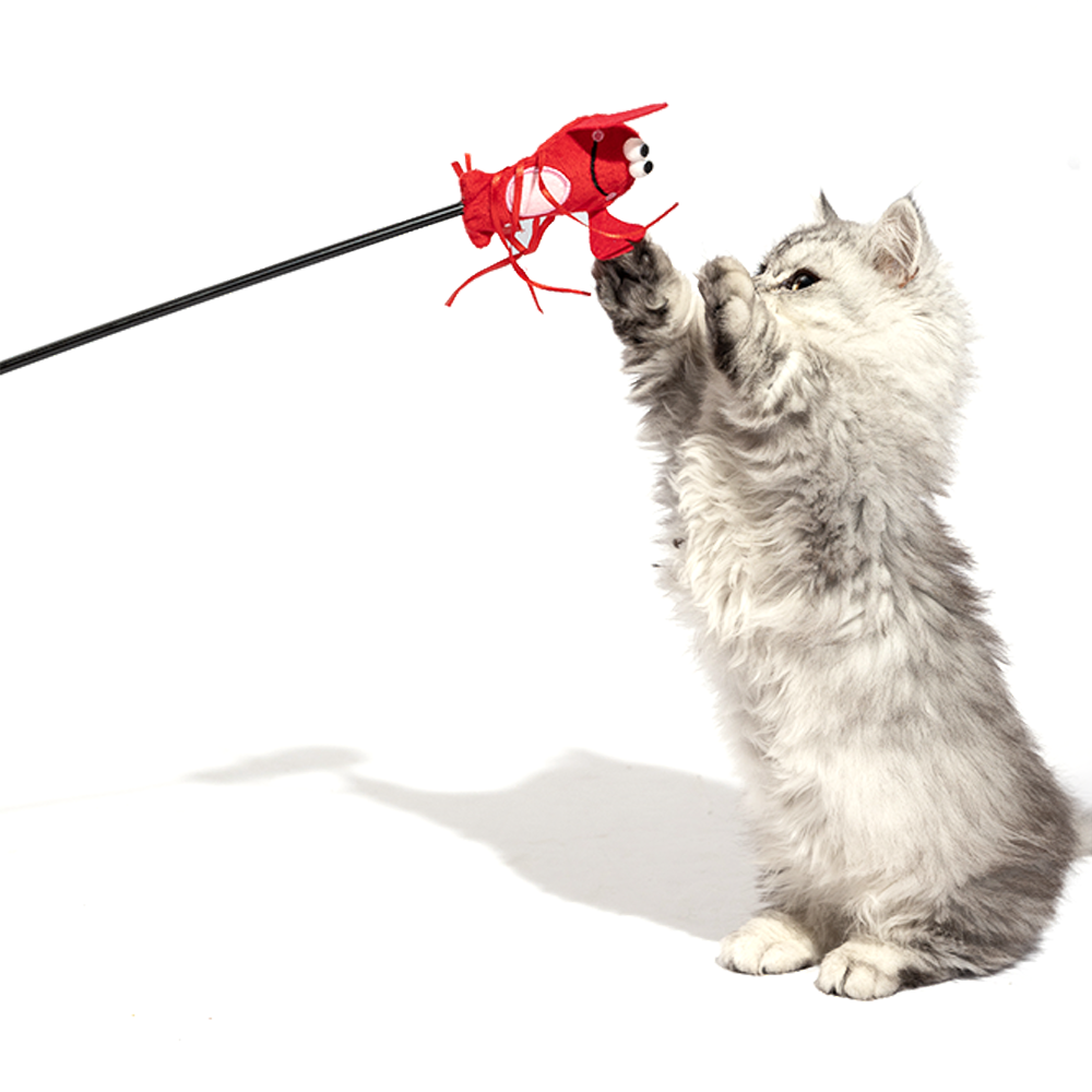 Fofos Moving Lobster Cat Wand Cat Toy