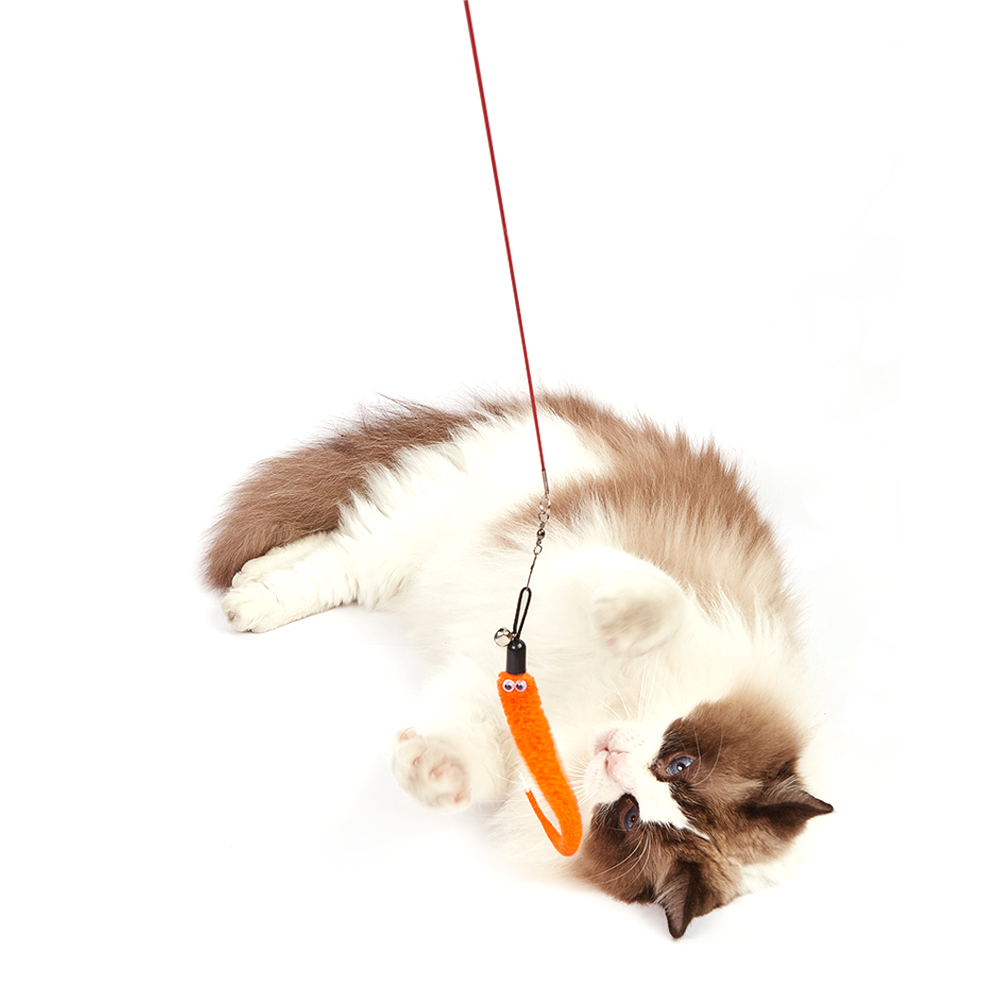Fofos Retractable Worm Cat Wand Cat Toy