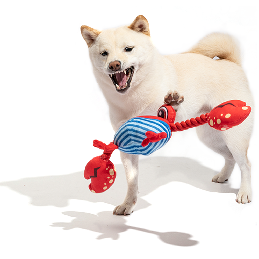 Fofos Sealife Crab Dog Toy