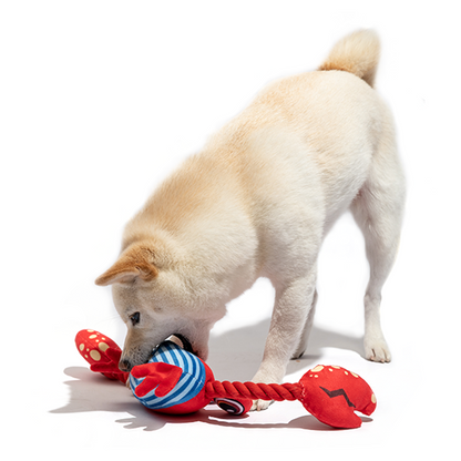 Fofos Sealife Crab Dog Toy