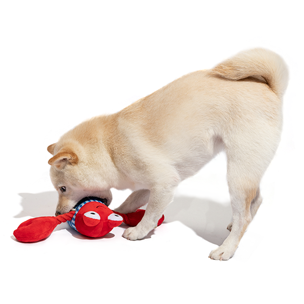 Fofos Sealife Lobster Dog Toy