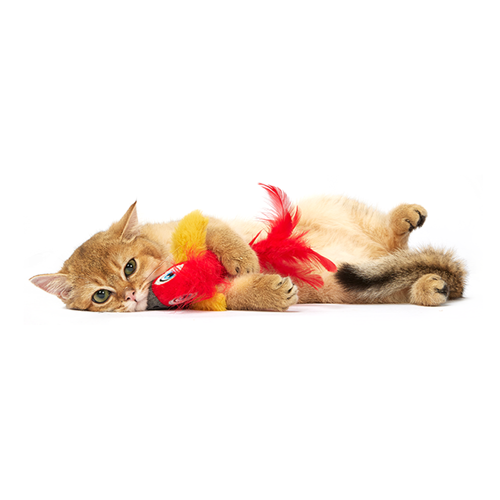 Fofos Sound Chip Parrot with Catnip Balls Cat Toy