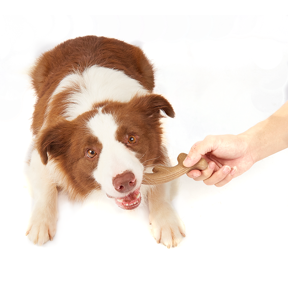 Fofos Woodplay Antler Dog Toy