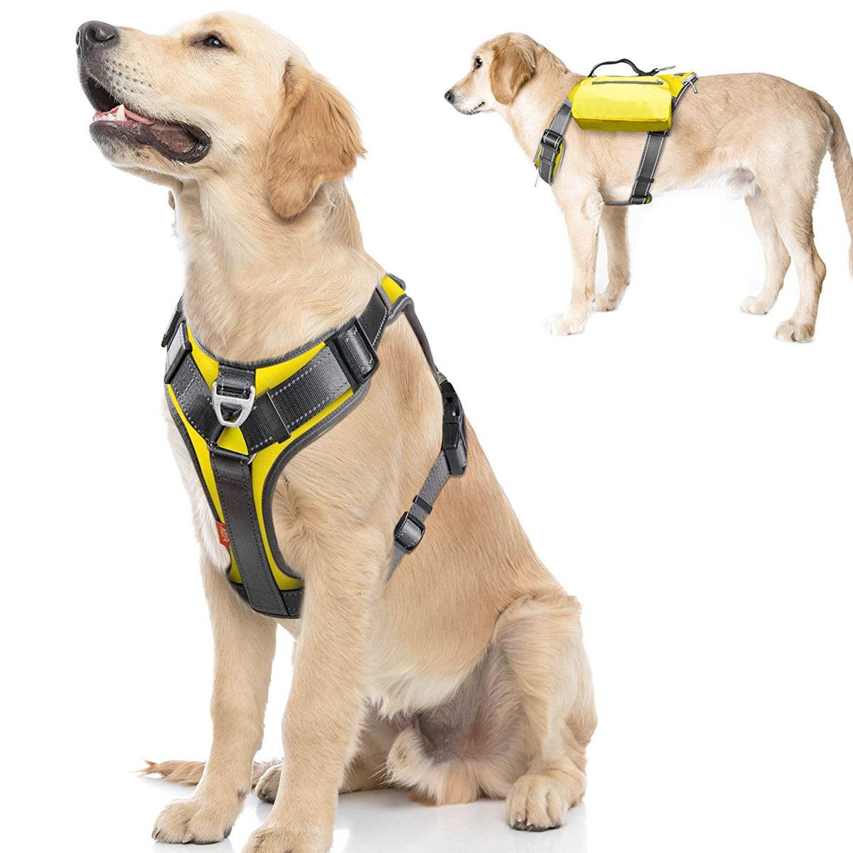 Fida Dog Harness – Yellow