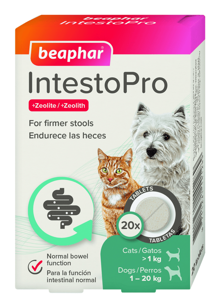 IntestoPro Anti Diarrhea Tablet Small Dog & Cat 20 tab