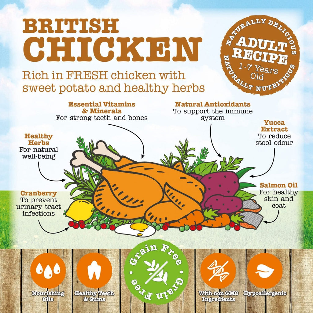 Little BigPaw British Chicken Complete Dry Food for Adult Cats