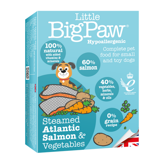 Little BigPaw Traditional Salmon & Vegetable Dinner for Small Dogs, 150 g