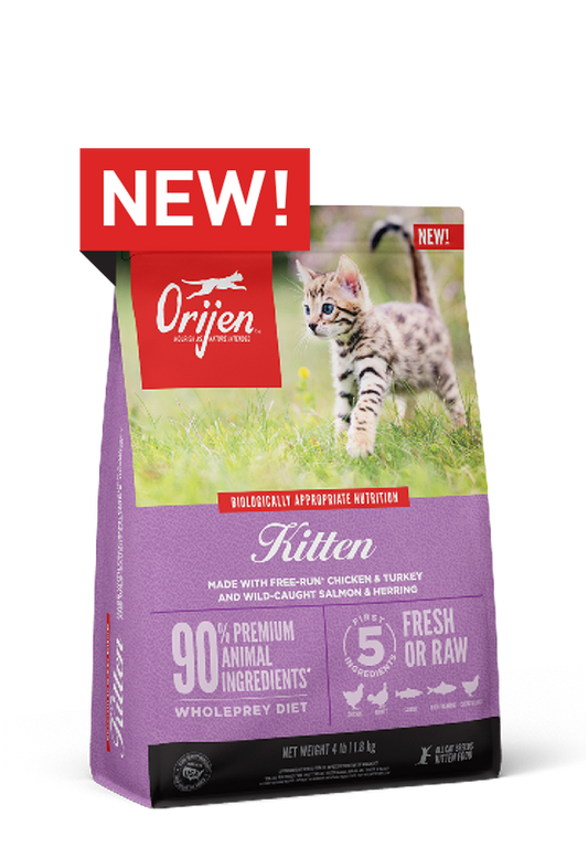 Orijen Dry Food Kitten Formula