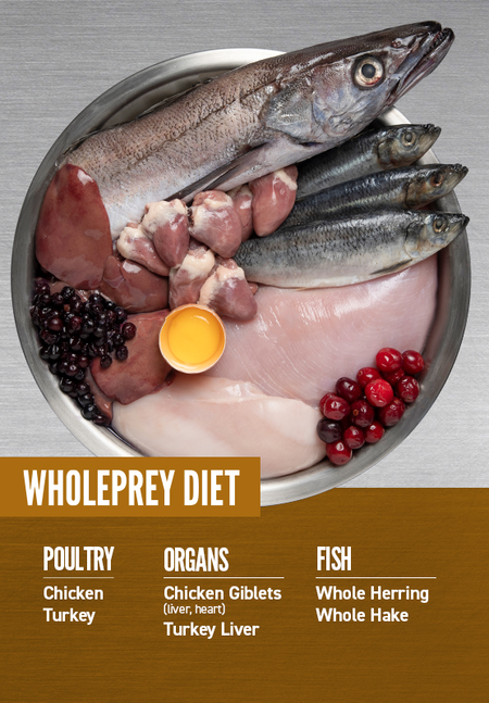 Orijen sales puppy kibble