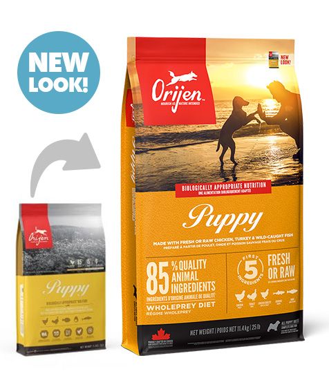 Orijen wet shop dog food