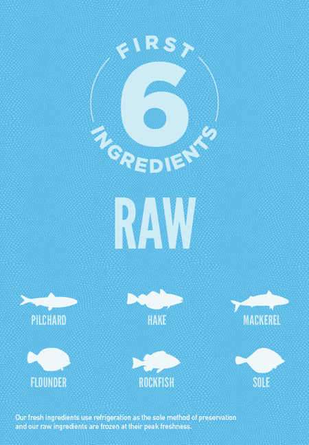 Orijen six fish shop cat