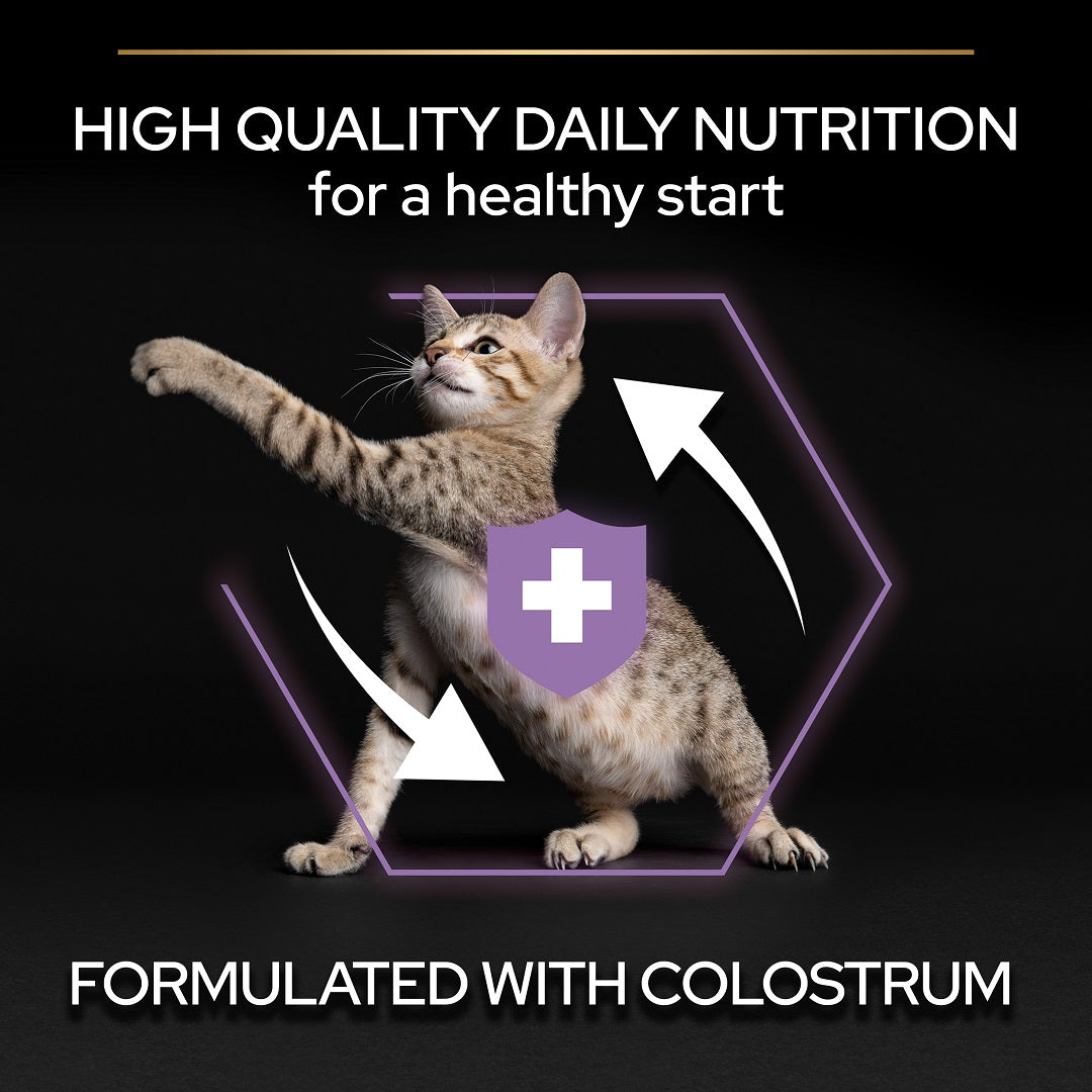 PURINA® Pro Plan® Kitten Healthy Start Chicken Dry Cat Food