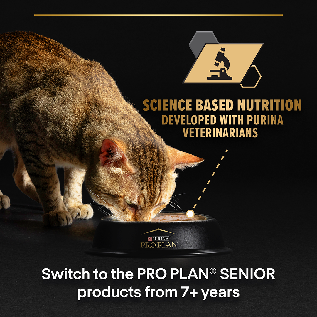 PURINA® Pro Plan® Sterilised Maintenance with Chicken in Gravy Wet Cat Food