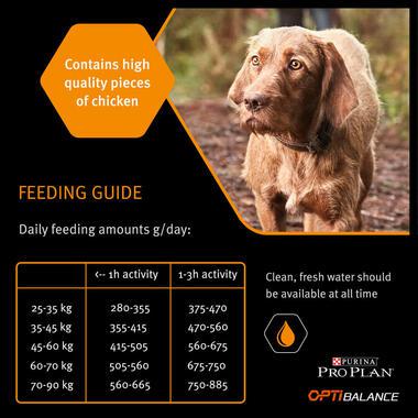 PURINA® Pro Plan® Dog Large Athletic Adult with OPTIBALANCE™ Rich in Chicken Dry Food