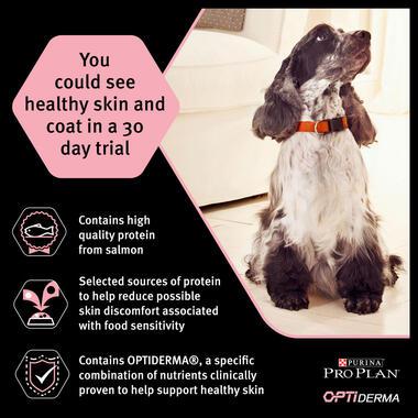 PURINA® Pro Plan® Dog Medium Adult Sensitive Skin with OPTIDERMA® Rich in Salmon Dry Food