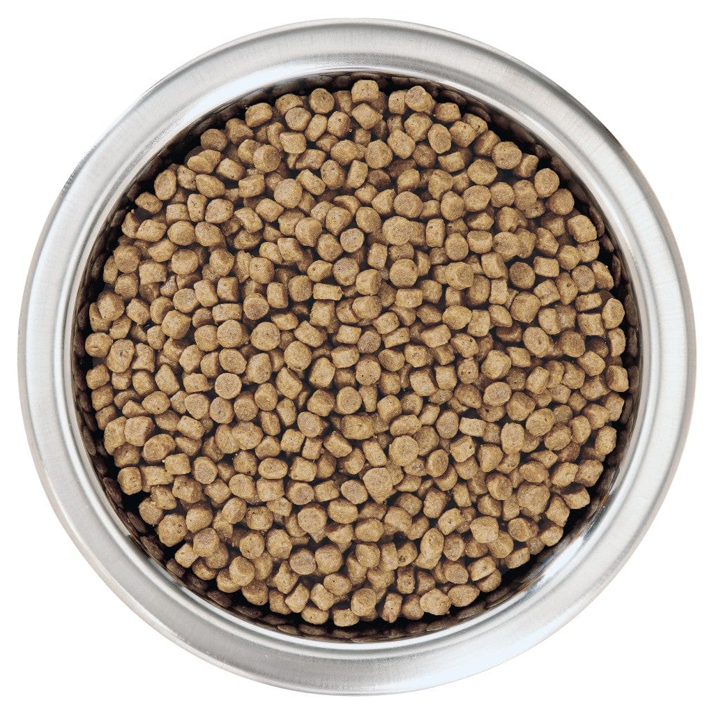 PURINA® Pro Plan® Puppy Small & Mini Sensitive Skin with OPTIDERMA® Rich in Salmon Dry Food