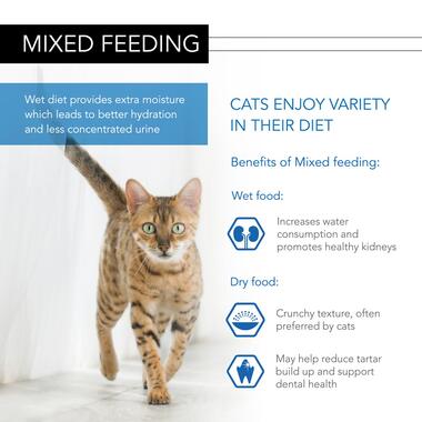 PURINA® Pro Plan® Sterilised NUTRISAVOUR in Gravy Wet Cat Food