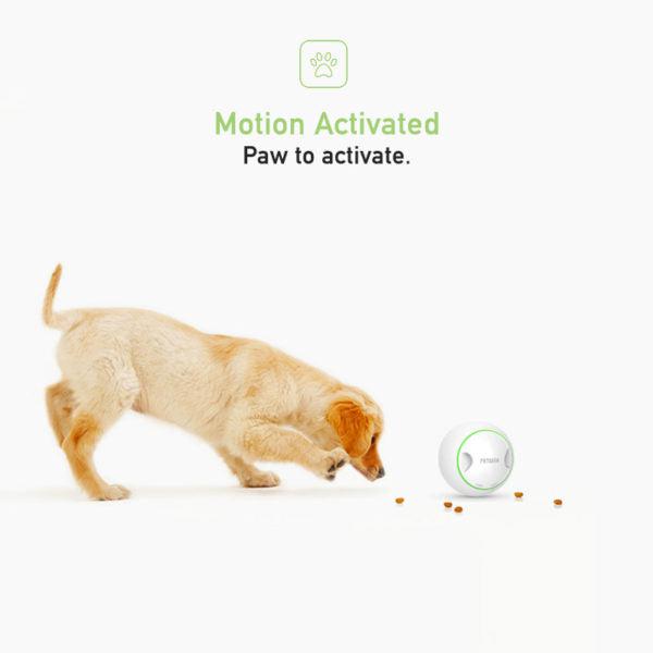 PetGeek Foodie Orb – Automatic Rolling Treat Ball