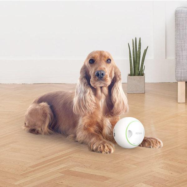 PetGeek Foodie Orb – Automatic Rolling Treat Ball