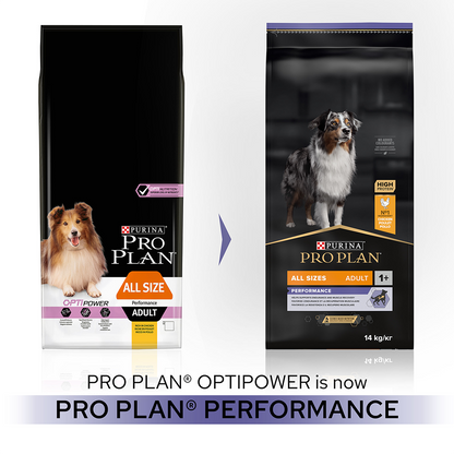 PURINA® Pro Plan® Performance Chicken Dry Dog Food
