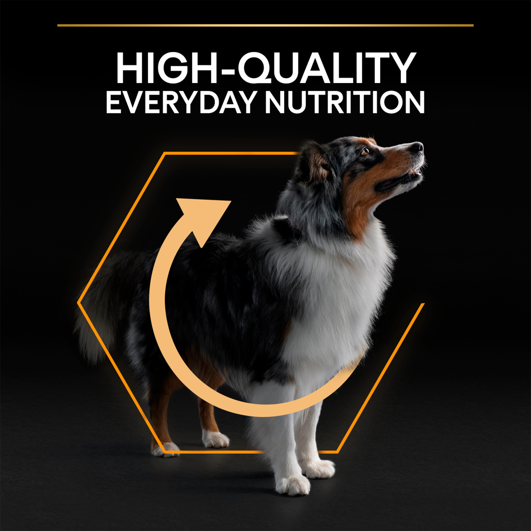 PURINA® Pro Plan® Medium Everyday Nutrition Chicken Dry Dog Food