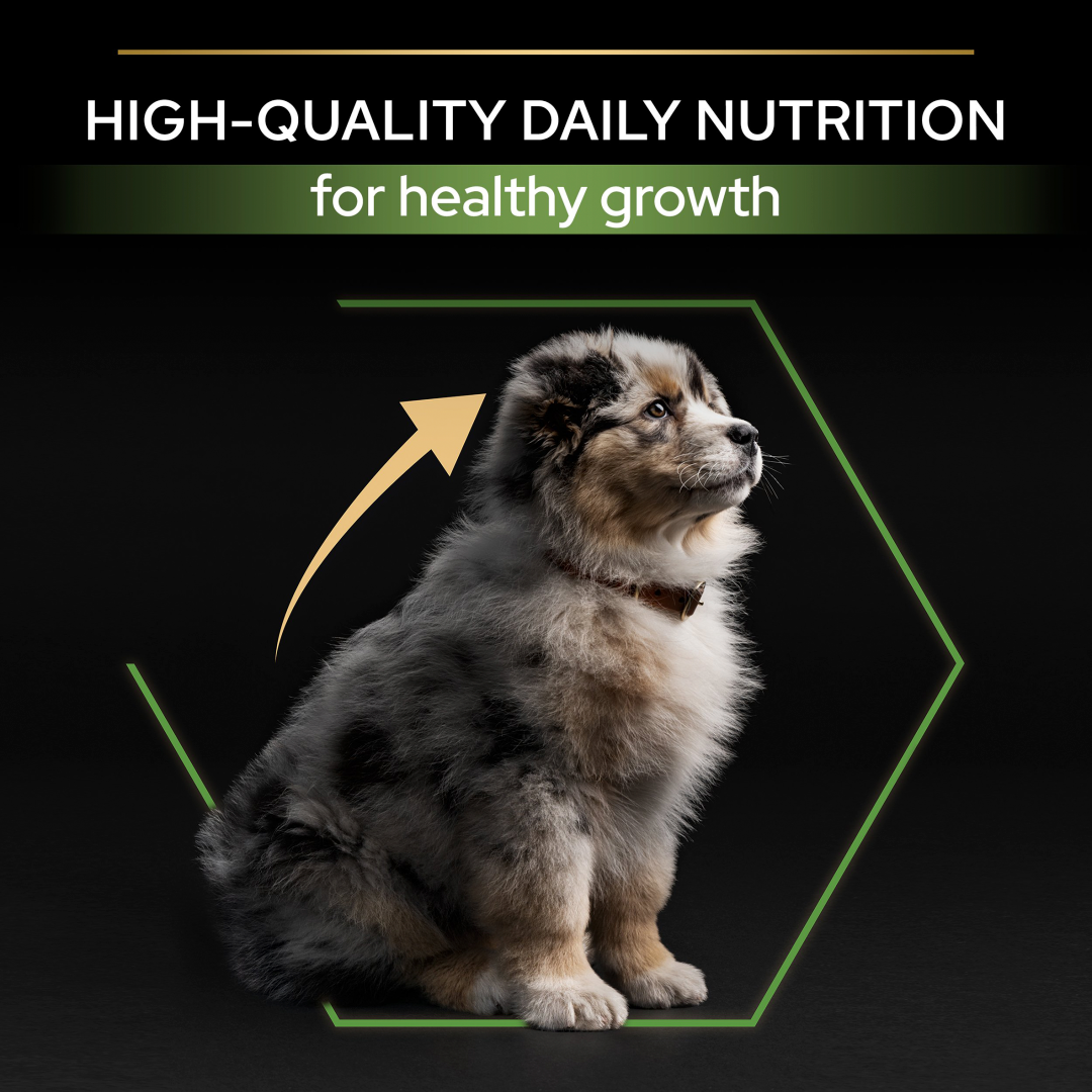 PURINA® Pro Plan® Medium Puppy Healthy Start Chicken Dry Dog Food