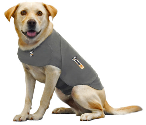 Thundershirt Dog