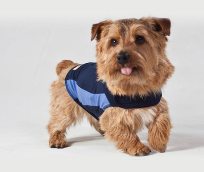 Thundershirt Dog