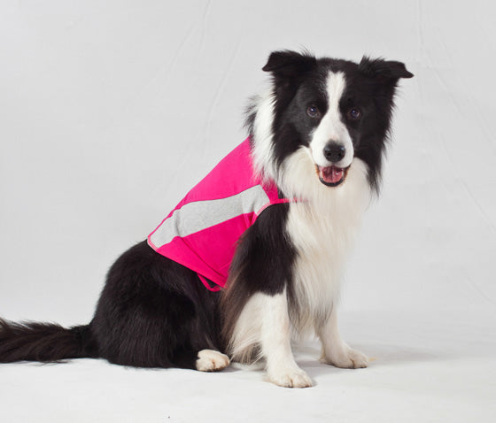 Thundershirt Dog Pink XXS