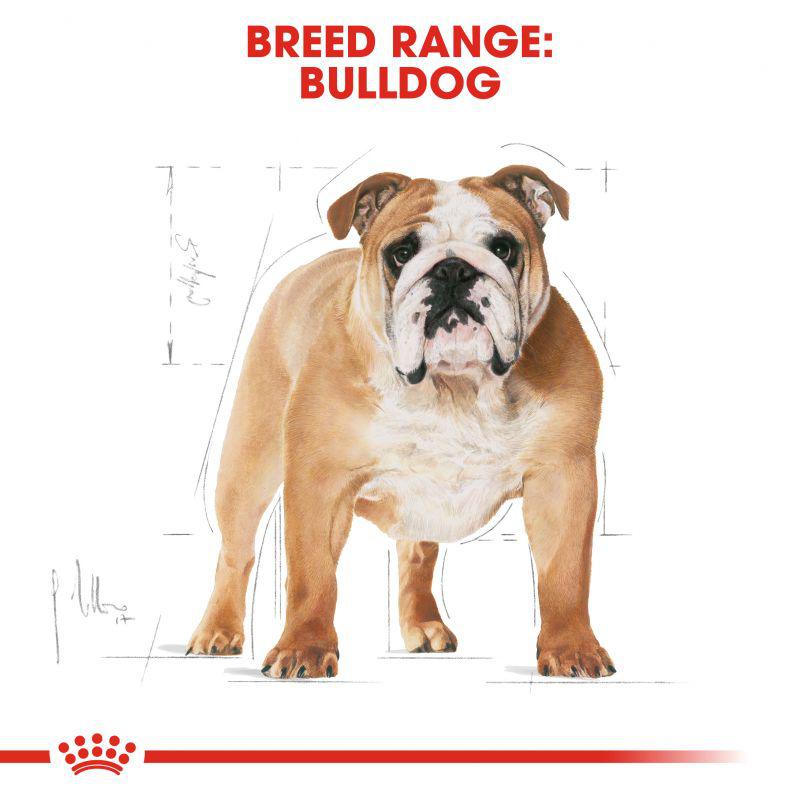 Royal Canin Breed Health Nutrition Bulldog Adult