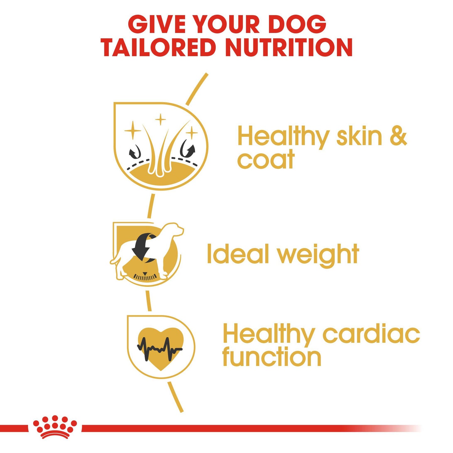 Royal Canin Breed Health Nutrition Cocker Adult