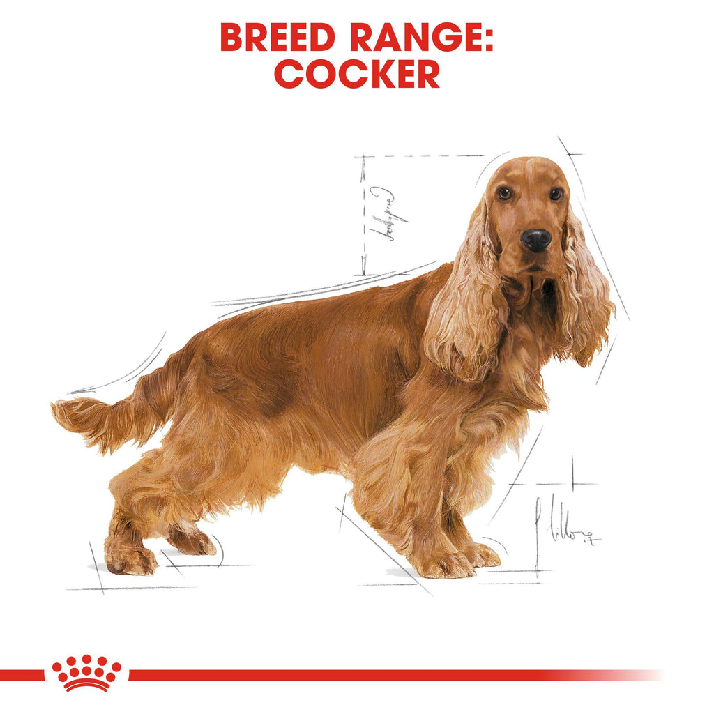 Royal Canin Breed Health Nutrition Cocker Adult