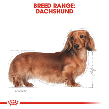 Royal Canin Breed Health Nutrition Dachshund Adult