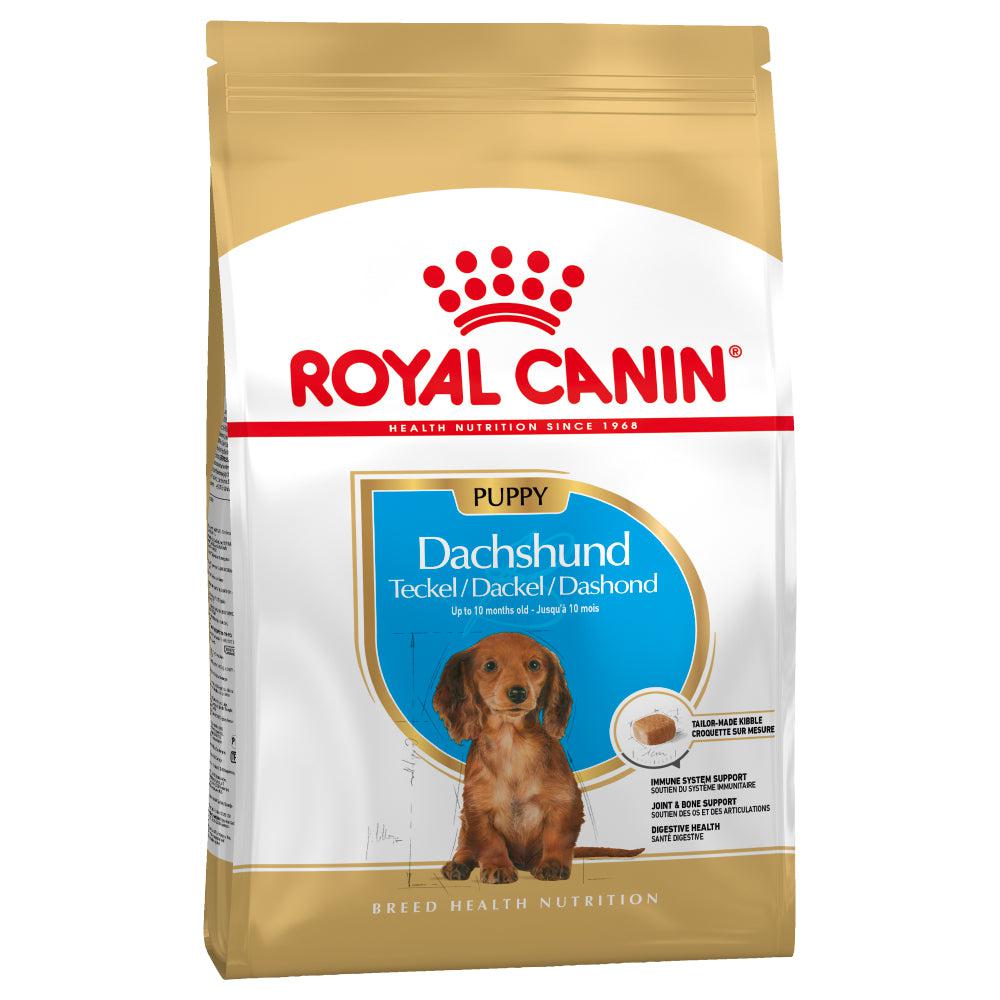 Royal Canin Breed Health Nutrition Dachshund Puppy