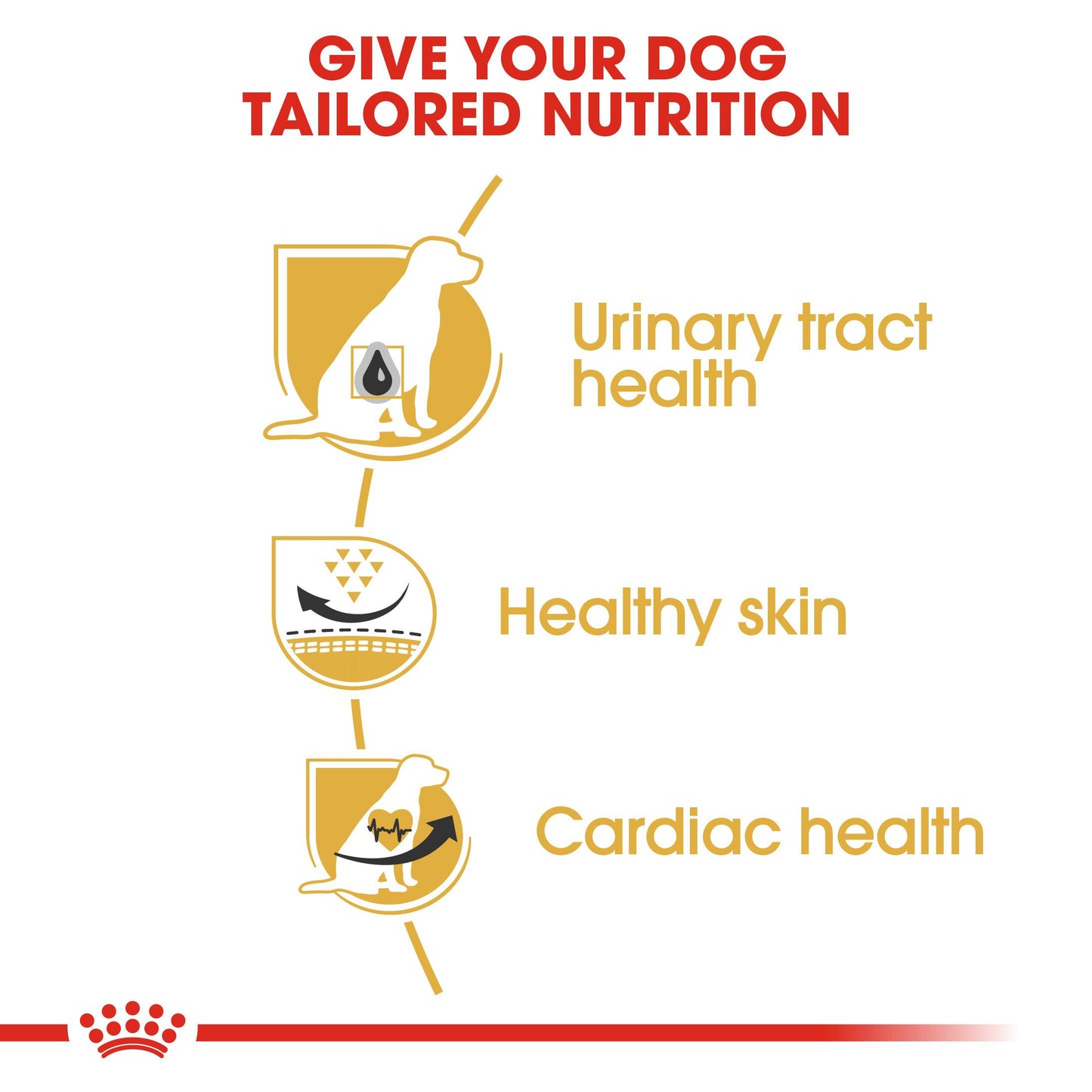 Royal Canin Breed Health Nutrition Dalmatian Adult