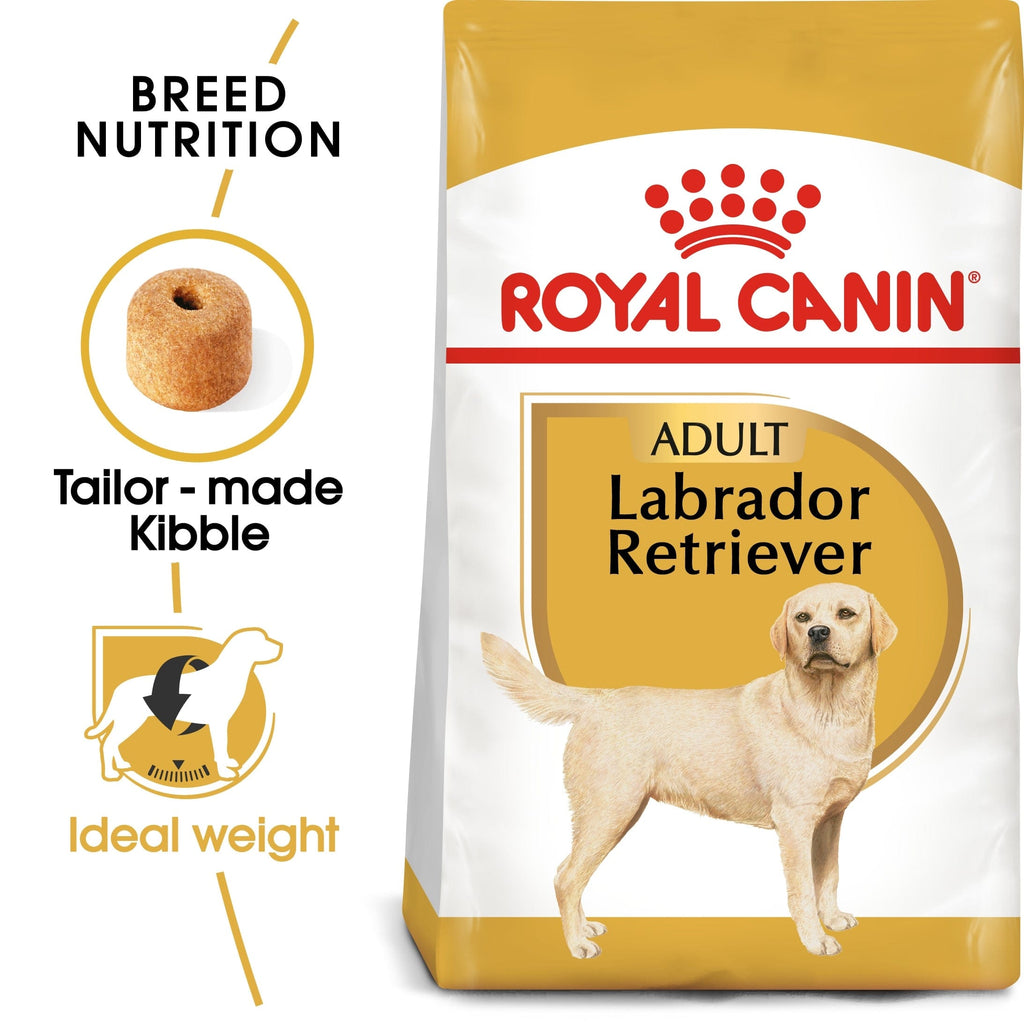 Royal Canin Breed Health Nutrition Labrador Adult