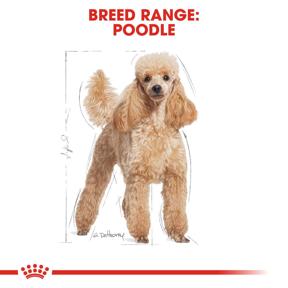 Royal Canin Breed Health Nutrition Poodle Adult Wet Food Pouch, 85g