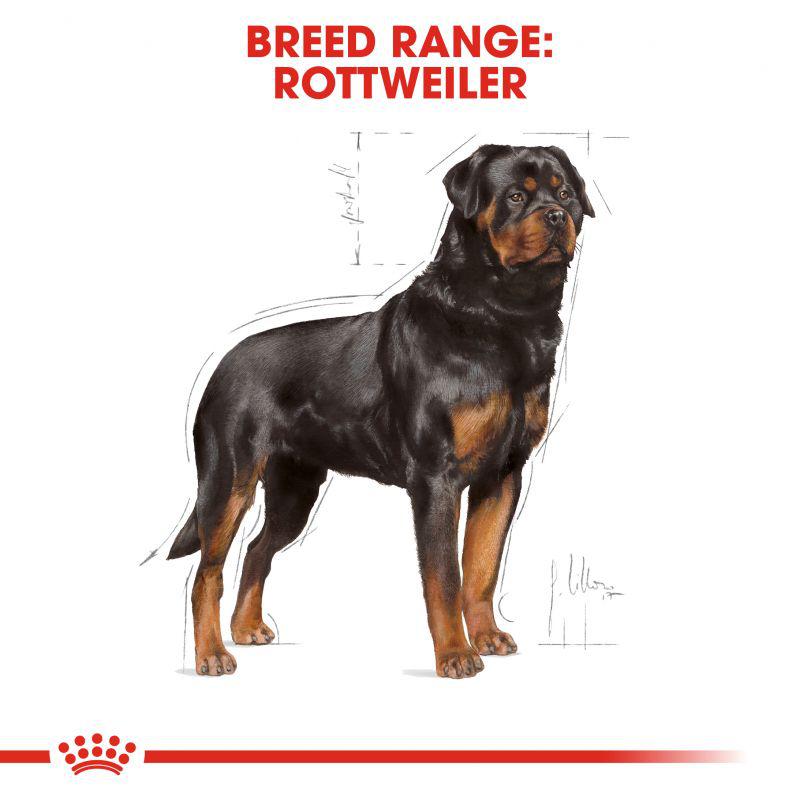 Royal Canin Breed Health Nutrition Rottweiller Adult