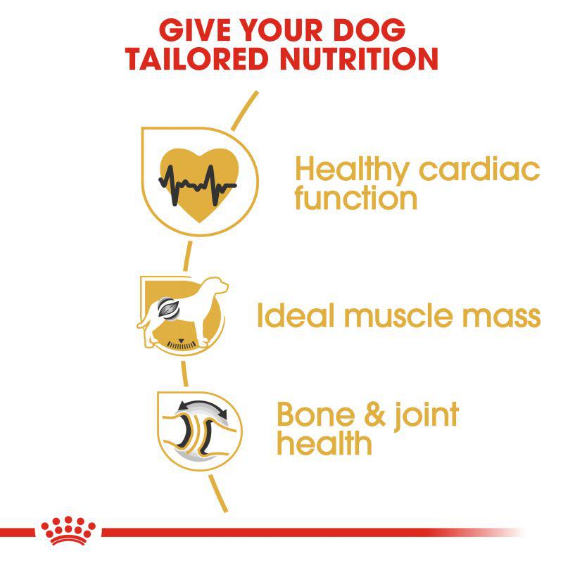 Royal Canin Breed Health Nutrition Rottweiller Adult