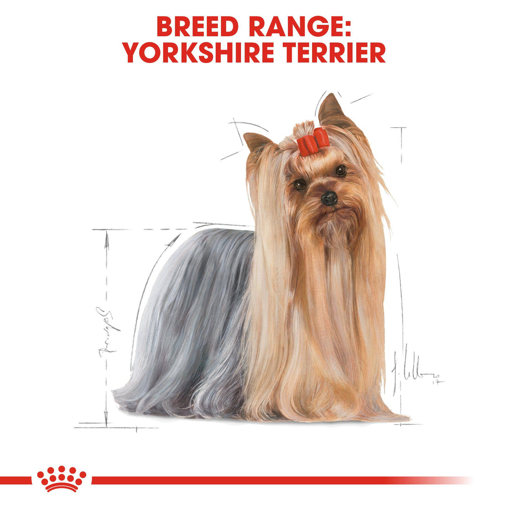 Royal Canin Breed Health Nutrition Yorkshire Adult Wet Food Pouch, 85g