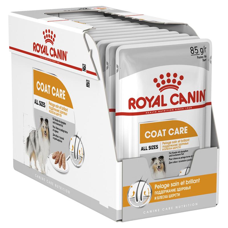 Royal Canin Canine Care Nutrition Coat Beauty Wet Food Pouch, 85g